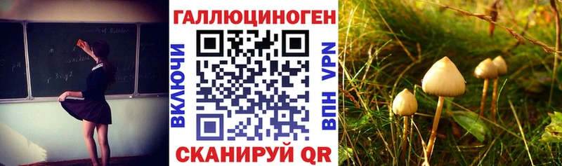 Псилоцибиновые грибы Cubensis  мега зеркало  Красновишерск 