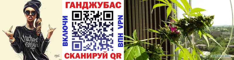 закладка  Красновишерск  МАРИХУАНА семена 
